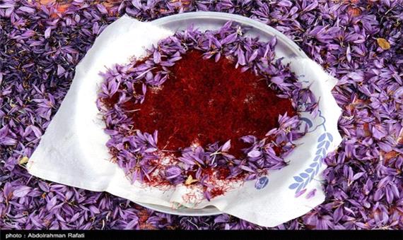 موفقیت ایران در ساخت سامانه هوشمند فرآوری گل زعفران برای نخستین بار در جهان! + فیلم