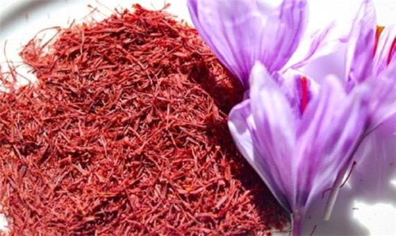 خرید حمایتی بیش از 600 کیلوگرم زعفران در تایباد و باخرز