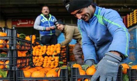 قیمت مرکبات در میادین میوه و تره بار تهران