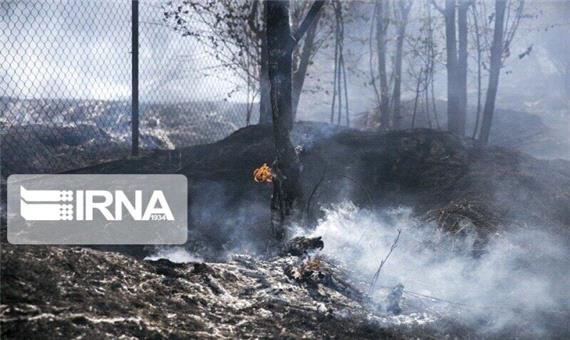 سه نطقه از جنگل‌های سوادکوه آتش گرفت
