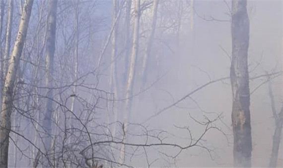آتش‌سوزی در یک هکتار از جنگل‌های رامسر/سهل انگاری و بی‌احتیاطی علت حریق