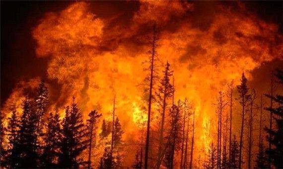 شعله ور شدن دوباره آتش در جنگل‌های رامسر