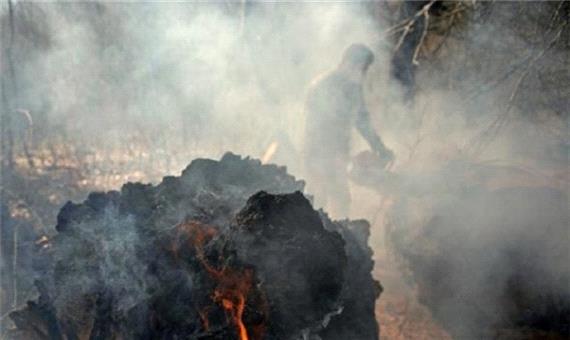 آتش‌سوزی 15 هکتار از عرصه‌های جنگلی مازندران طی 24 ساعت گذشته/تمام حریق‌ها مهار شد