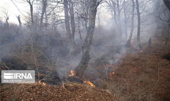 تلاش برای خاموش‌کردن آتش در جنگل‌ هیرکانی گلستان ادامه دارد