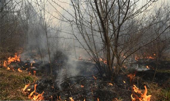 آتش‌سوزی‌های گسترده در «81 نقطه» از جنگل‌های گیلان