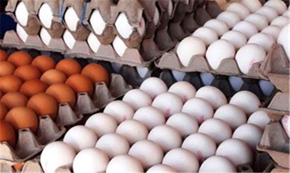 کاهش قیمت هر شانه تخم‌مرغ در بازار