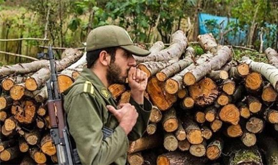 35 تن چوب قاچاق در دشتستان کشف شد