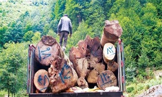 فارس من/مردم:جلوی قاچاق چوب گرفته شود/منابع طبیعی:تشکیل 87 فقره پرونده‌ در زمینه کشفیات قاچاق چوب
