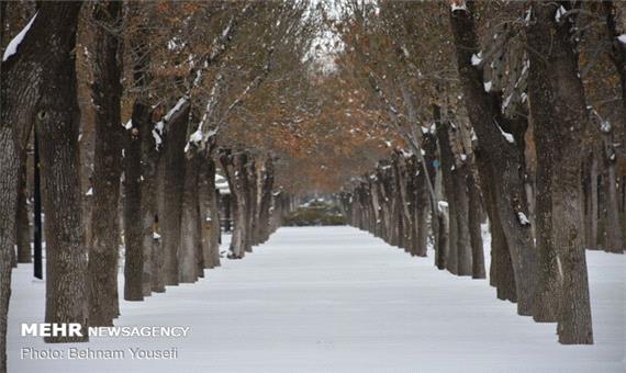 تداوم سرما در خراسان شمالی/ آخر هفته برفی در انتظار استان است