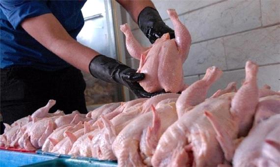 توزیع 60 تن گوشت مرغ در تایباد