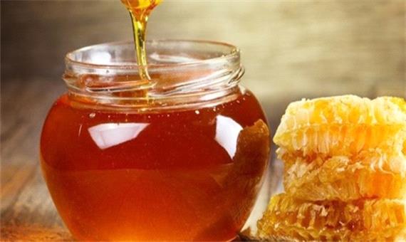 تولید بیش از هزار تن عسل در مشهد