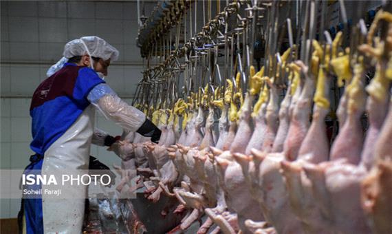 تأمین مرغ به میزان کافی برای خراسان ‌جنوبی‌ها در ماه رمضان