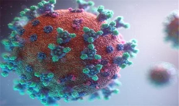 پروتئین خوشه‌ای حتی بدون وجود کرونا ویروس هم به سلول‌ها آسیب می‌رساند
