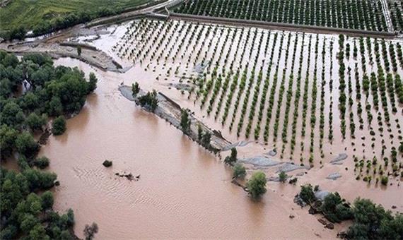 سیل و تکرگ بیش از 581 میلیارد ریال به بخش کشاورزی خراسان شمالی خسارت زد