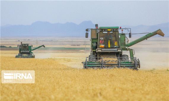 24 هزار تن گندم خراسان رضوی به شیوه تضمینی خریداری شده است