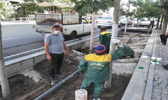 اجرای عملیات چسب محافظتی به تنه درختان طولانی ترین خیابان پایتخت