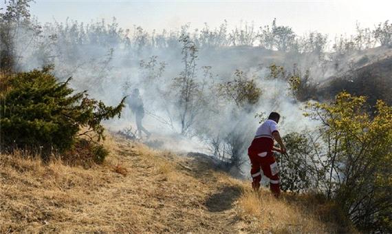 نگرانی محیط زیست از وقوع احتمالی آتش در جنگل‌های زاگرس