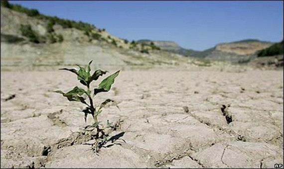 خسارت 15 میلیاردی خشکسالی به سرمایه‌های دامی طبس