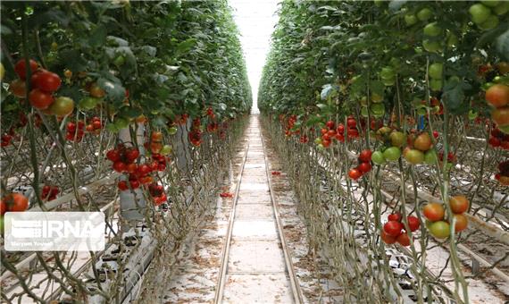 حدود 694 میلیارد ریال طرح کشاورزی در خراسان شمالی آماده افتتاح شد