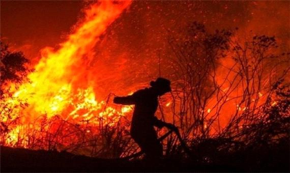 عوامل طبیعی و انسانی آتش به جان جنگل‌ها می‌اندازند