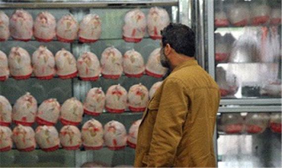 خرید مرغ در اصفهان با کارت ملی الزامی شد