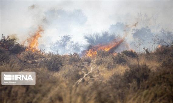 آتش‌سوزی در ارتفاعات کوه پهن گچساران مهار شد