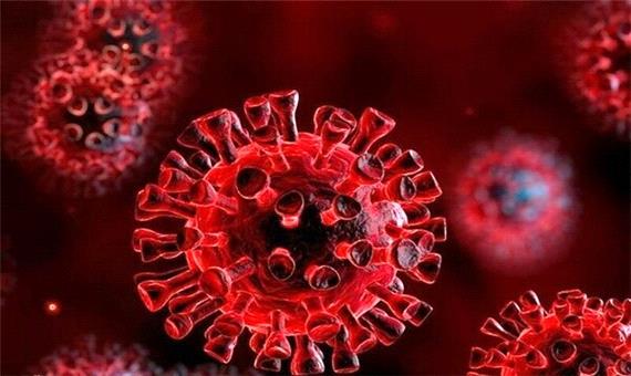 انتقال ویروس هندی و بروز علائم در چند ساعت رخ می‌دهد