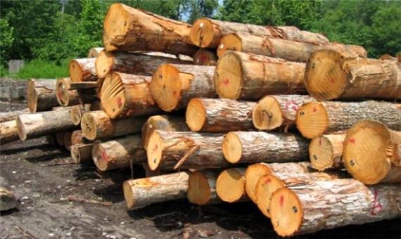 کارگاه‌های چوب شهرستان برای اخذ مجوز حمل چوب همکاری ندارند