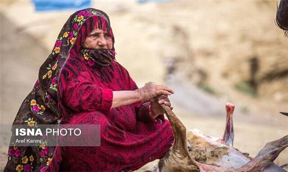 شادمانه های اقوام ترکمن خراسان شمالی در عیدقربان/سنت هایی با چاشنی وحدت و بندگی