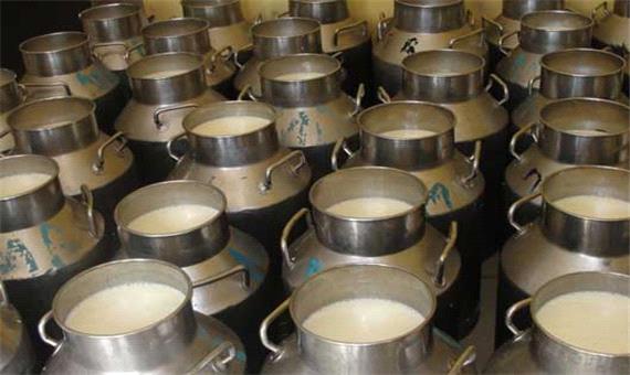 خام فروشی 80 درصد شیر تولیدی خراسان جنوبی