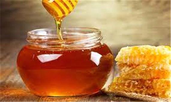 تولید 3 تن عسل بهاره در شهرستان درمیان