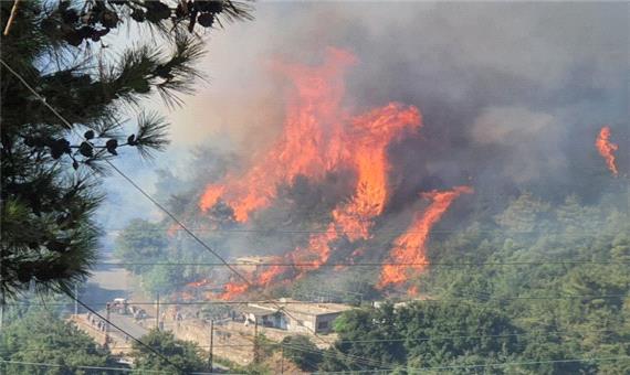آتش سوزی گسترده در شمال لبنان