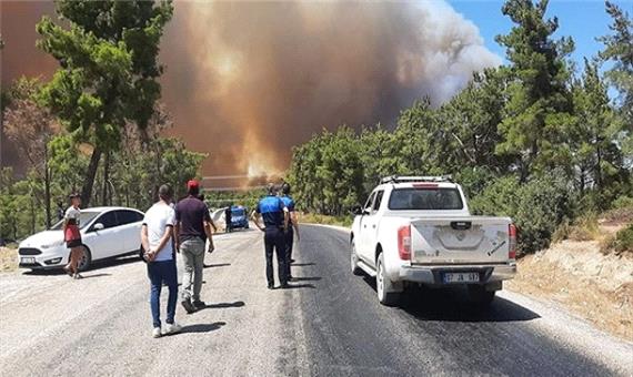 آتش‌سوزی مهیب در جنوب آنتالیا و تخلیه منازل مسکونی