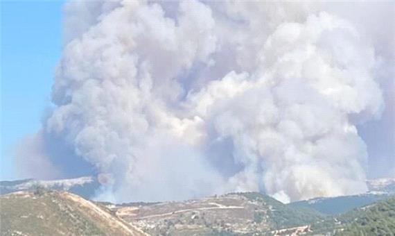 وقوع آتش سوزی بزرگ در جنگل های شمال لبنان