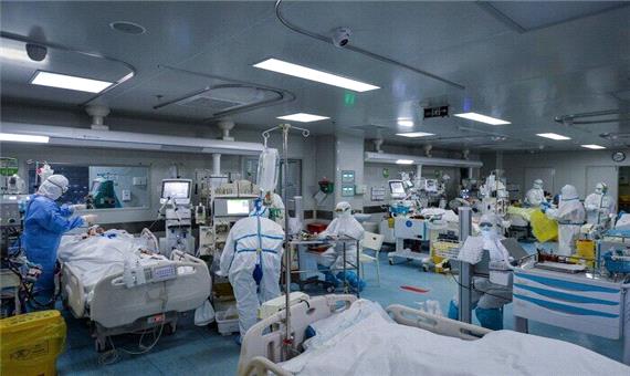 40 درصد فوتی‌های ناشی از کرونا به دلیل بیمارستان هراسی رخ می‌دهد