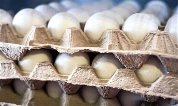 کاهش تولید و افزایش قیمت تخم‌مرغ در بازار