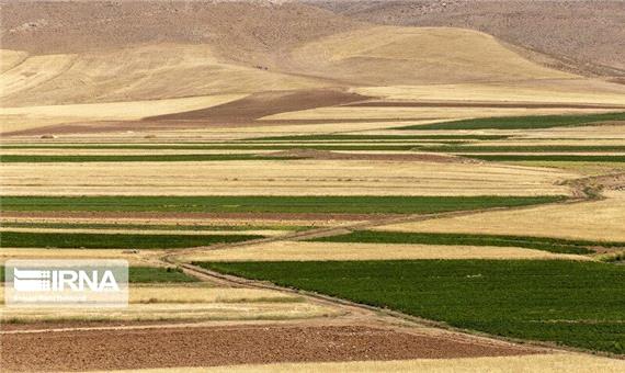 انجام طرح حدنگاری در 41 درصد از اراضی کشاورزی رازوجرگلان خراسان شمالی