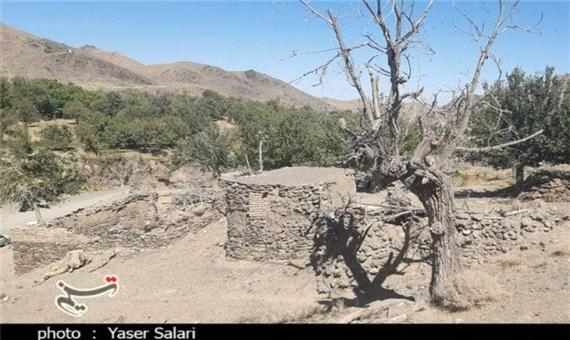 حکایت تکراری خشکسالی در کویر؛ محصولات کشاورزی استان 50 درصد خسارت دید