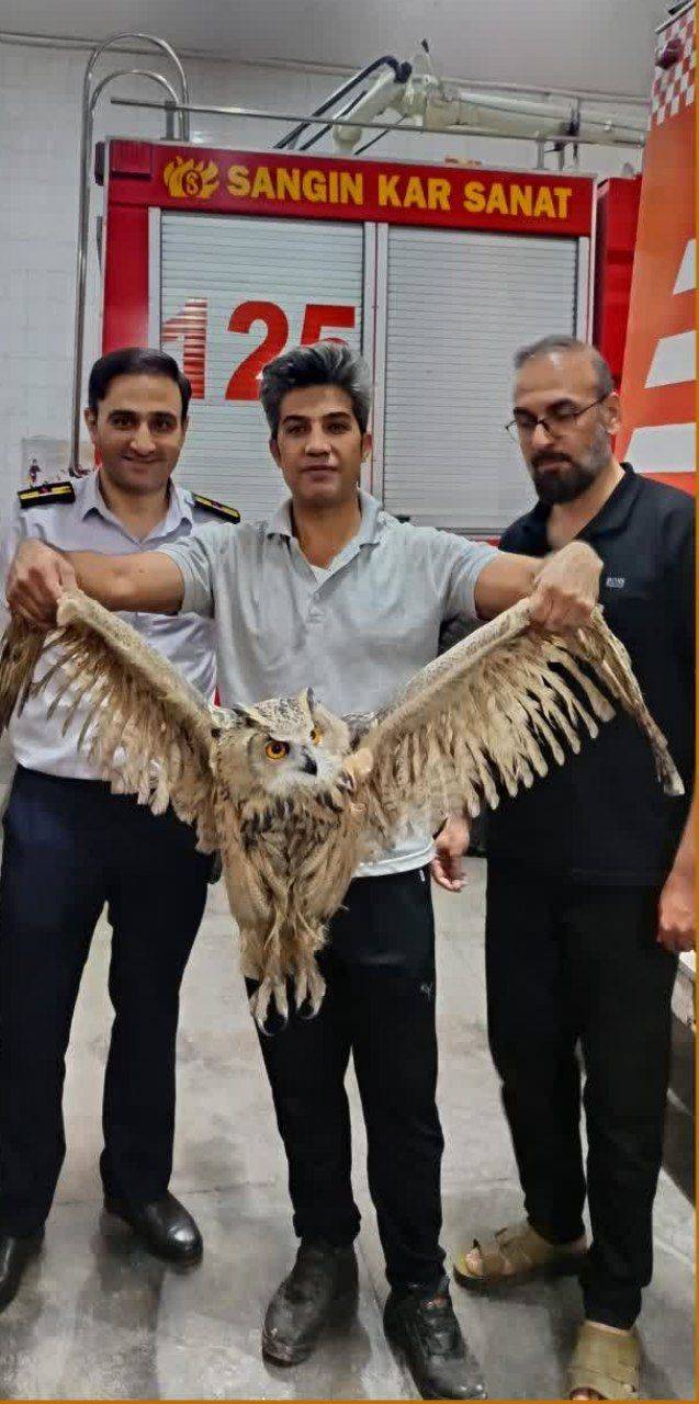 پیام خراسان