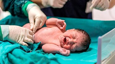 طرح نفس، ناجی جان ۴۲ نوزاد در خراسان جنوبی