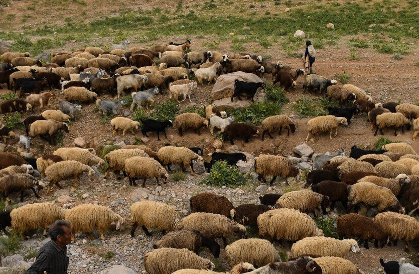 پیام خراسان