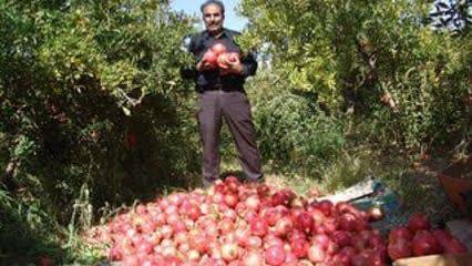 پیام خراسان