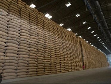 آغاز عرضه برنج پاکستانی در بازار خراسان رضوی  از ده روز آینده