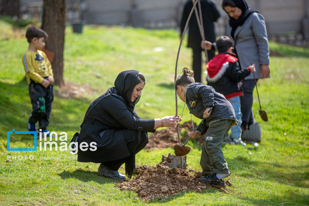 پویش درختکاری «در سایه مادر» در ۹ شهرستان خراسان جنوبی اجرا می‌شود