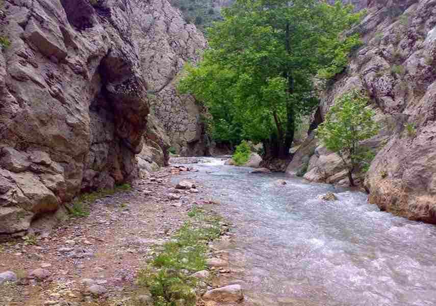 پیام خراسان