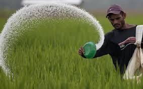 تأمین ۴ هزار تن کود اوره برای کشاورزان خراسان جنوبی
