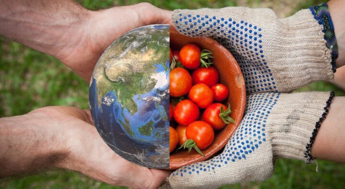 امنیت غذایی یکی از ارکان اصلی امنیت ملی است