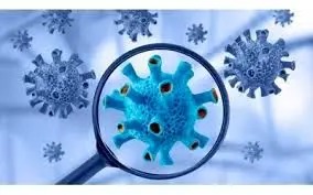 ویروس‌ها چه مدت روی سطوح زنده می‌مانند؟