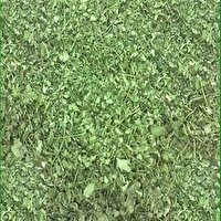 معدوم‌ سازی ۷۲۰ کیلوگرم سبزی خشک غیربهداشتی در نیشابور