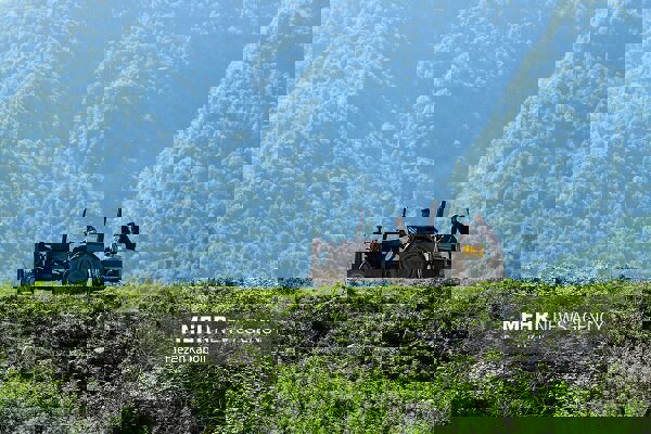 پرداخت۴۰میلیارد ریال خسارت حیات وحش به دامداران وکشاورزان خراسان جنوبی